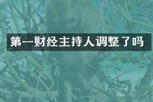 第一财经主持人调整了吗