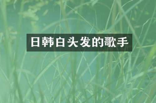 日韩白头发的歌手