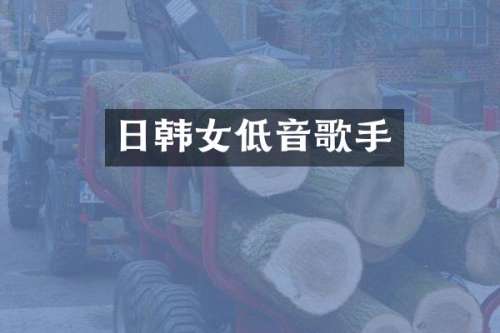 日韩女低音歌手