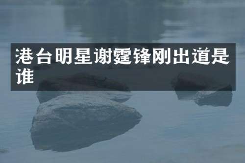 港台明星谢霆锋刚出道是谁