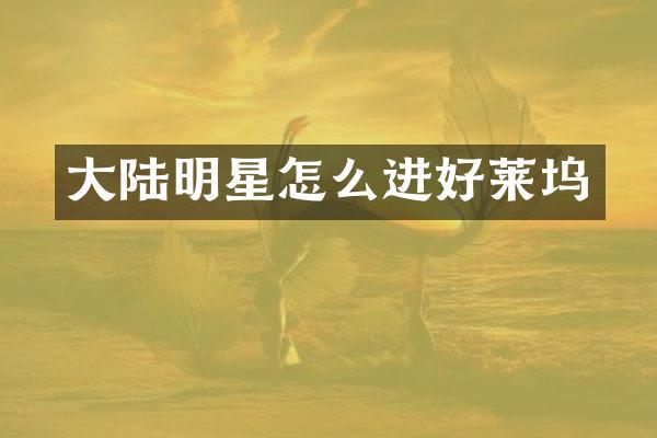 大陆明星怎么进好莱坞