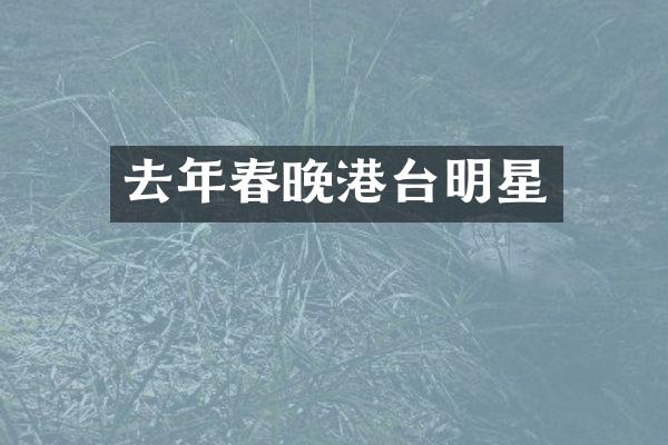 去年港台明星