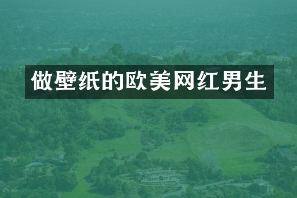 做壁纸的欧美网红男生