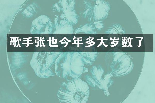 歌手张也今年多大岁数了
