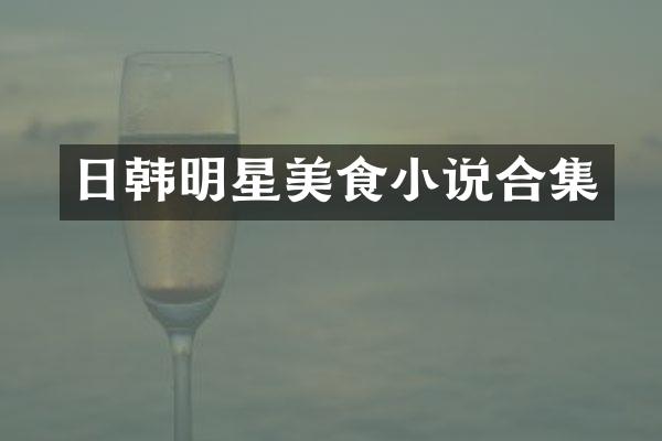 日韩明星美食小说