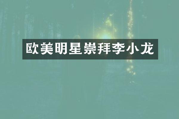 欧美明星崇拜李小龙