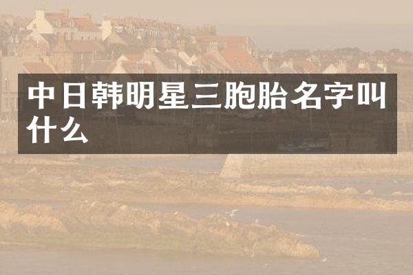 中日韩明星三胞胎名字叫什么