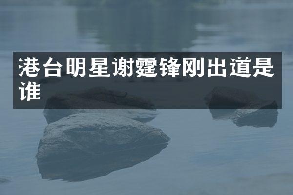 港台明星谢霆锋刚出道是谁