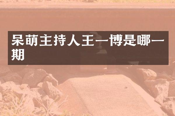 呆萌主持人王一博是哪一期