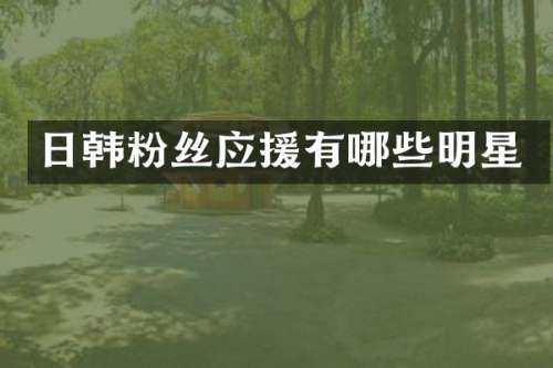 日韩粉丝应援有哪些明星