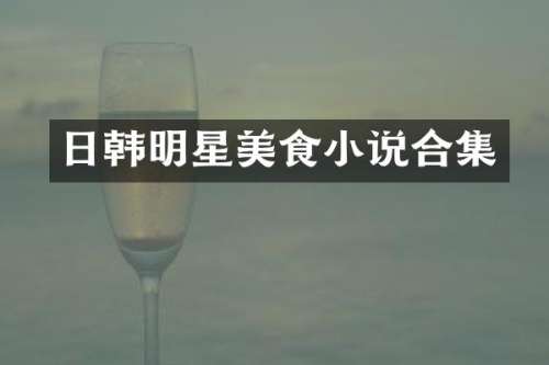 日韩明星美食小说