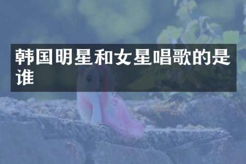 韩国明星和女星唱歌的是谁