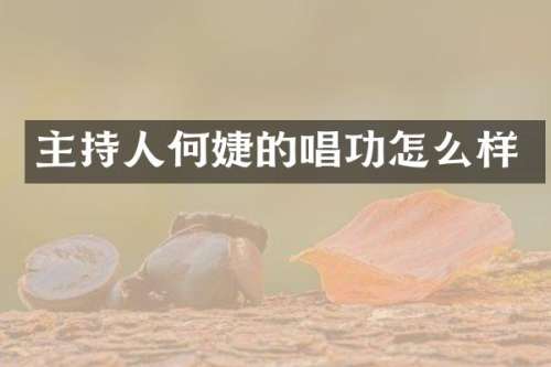 主持人何婕的唱功怎么样
