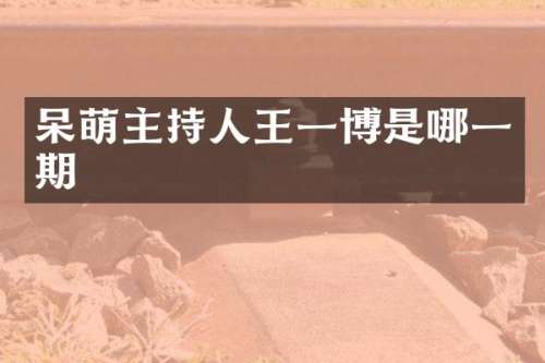 呆萌主持人王一博是哪一期