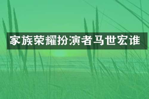家族荣耀扮演者马世宏谁