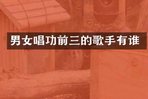 男女唱功前三的歌手有谁