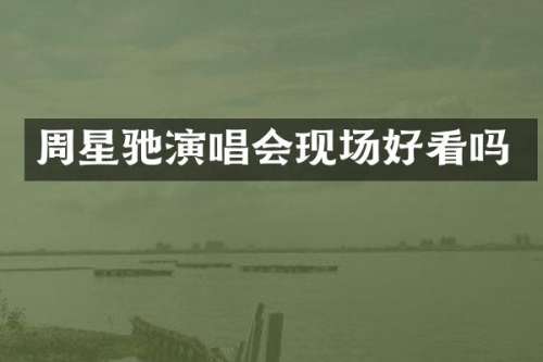 周星驰演唱会现场好看吗