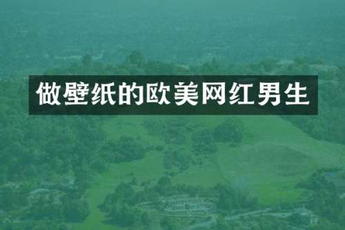 做壁纸的欧美网红男生