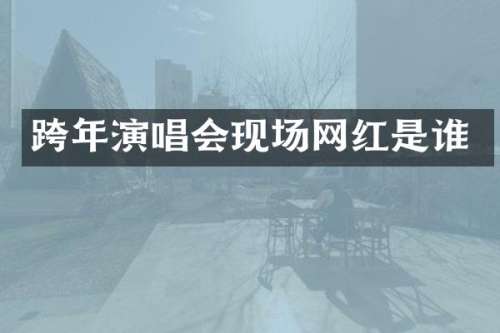 跨年演唱会现场网红是谁