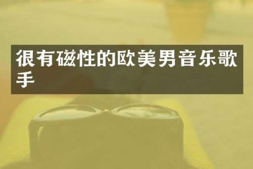 很有磁性的欧美男音乐歌手