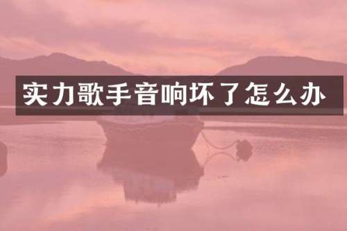 实力歌手音响坏了怎么办