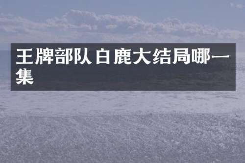 王牌部队白鹿大结局哪一集