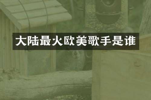 大陆最火欧美歌手是谁