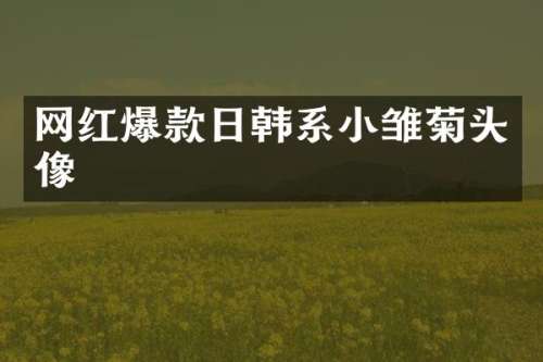 网红爆款日韩系小雏菊头像