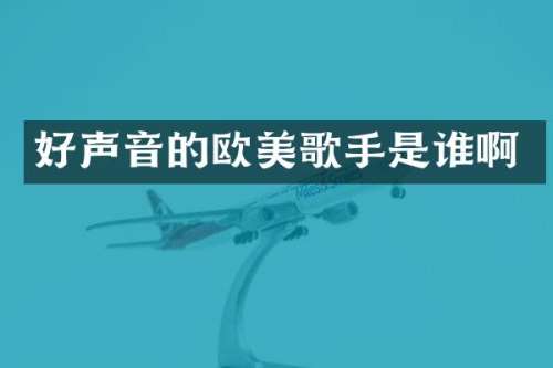 好声音的欧美歌手是谁啊