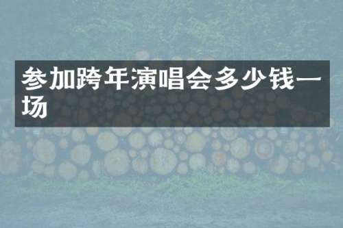 参加跨年演唱会多少钱一场