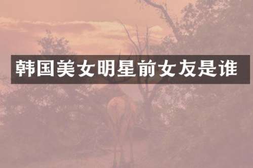 韩国明星前女友是谁