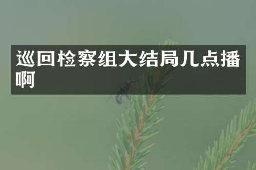 巡回检察组大结局几点播啊