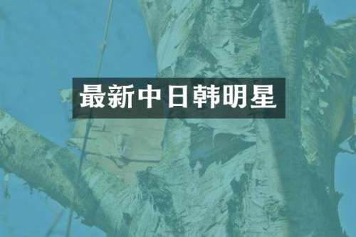 最新中日韩明星