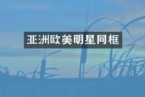 亚洲欧美明星同框