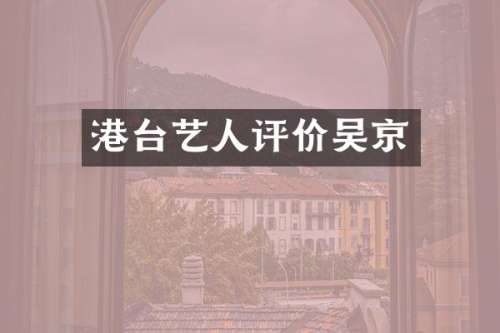 港台艺人评价吴京