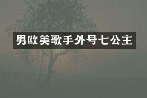 男欧美歌手外号七公主