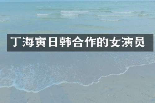 丁海寅日韩合作的女演员