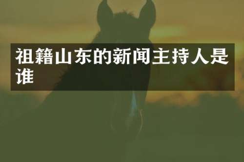 祖籍山东的新闻主持人是谁