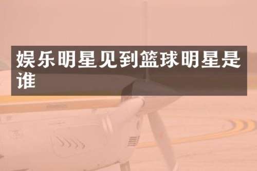 娱乐明星见到篮球明星是谁