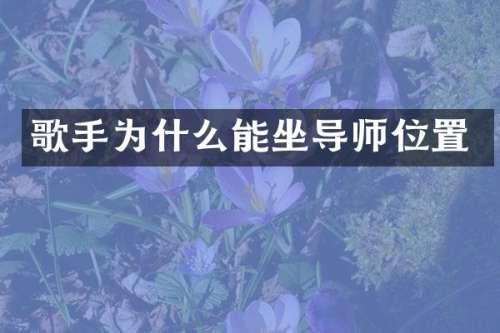 歌手为什么能坐导师位置