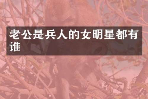 老公是兵人的女明星都有谁