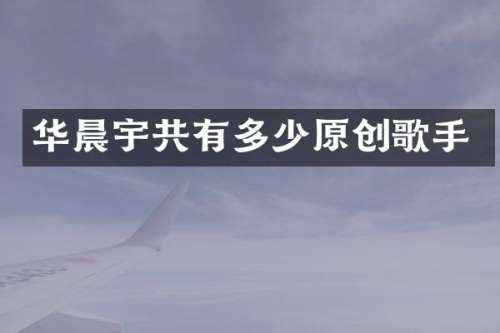 华晨宇共有多少原创歌手