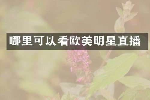 哪里可以看欧美明星直播