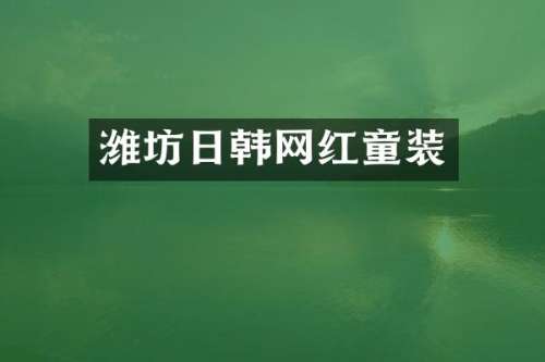 潍坊日韩网红童装
