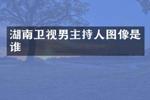 湖南卫视男主持人图像是谁