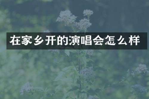 在家乡开的演唱会怎么样