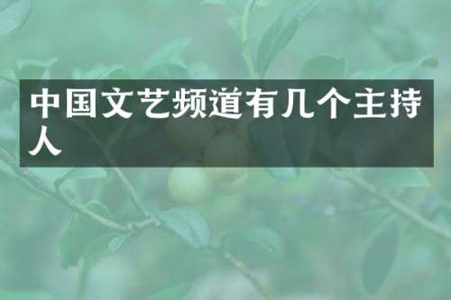 中国文艺频道有几个主持人