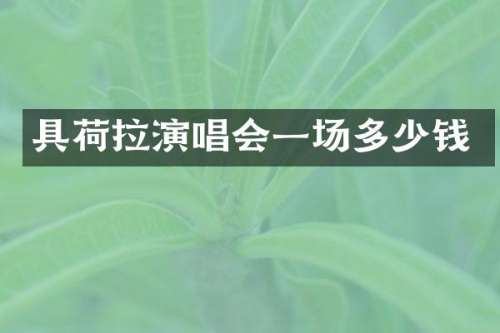 具荷拉演唱会一场多少钱