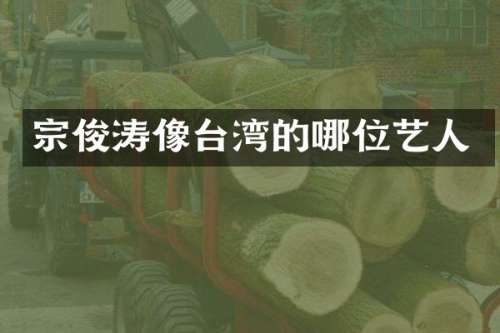 宗俊涛像台湾的哪位艺人