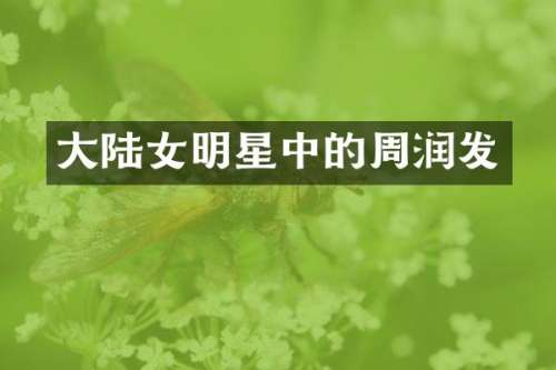 大陆女明星中的周润发